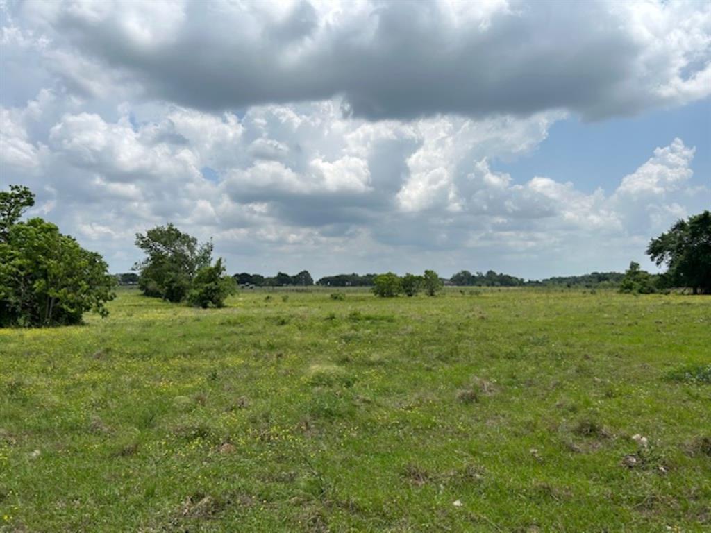 33806 Giboney Road, Hempstead, Texas image 11