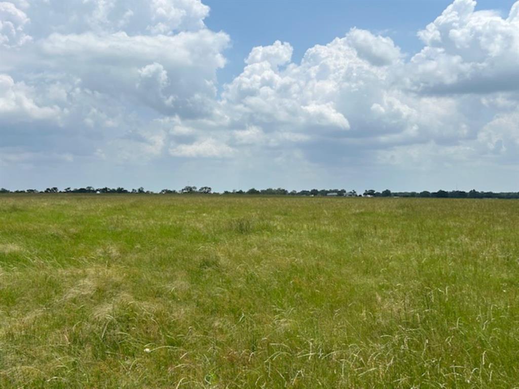33806 Giboney Road, Hempstead, Texas image 3