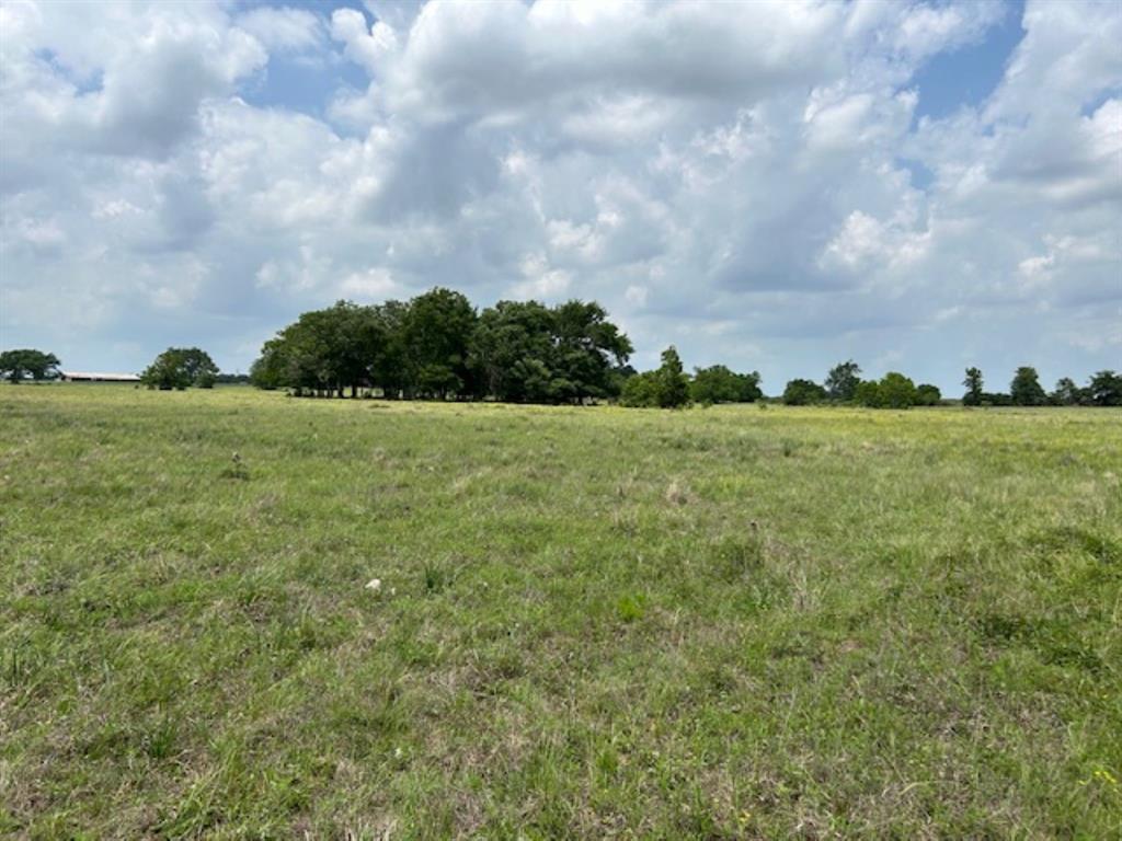 33806 Giboney Road, Hempstead, Texas image 13