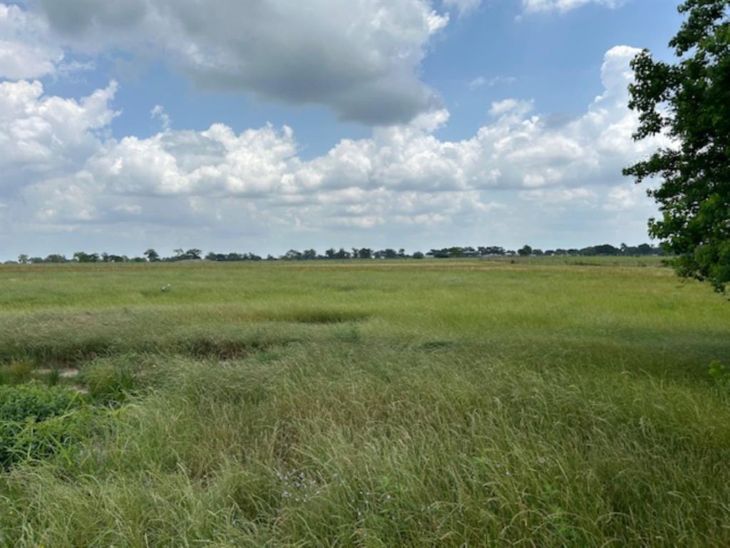 33806 Giboney Road, Hempstead, Texas image 22