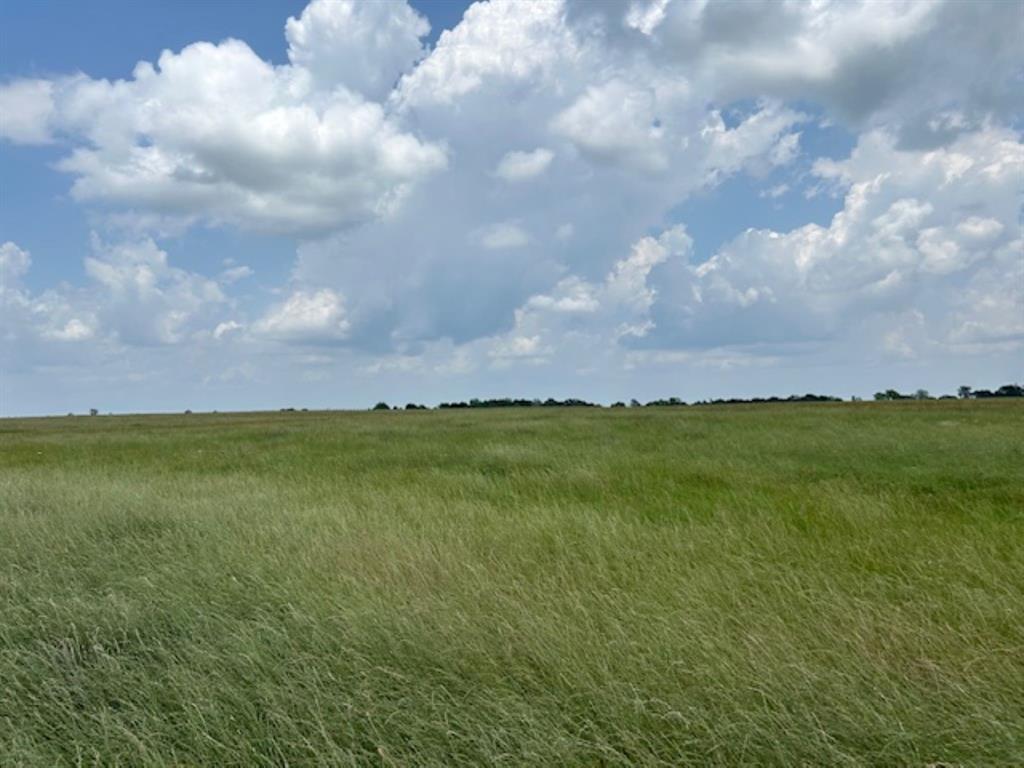 33806 Giboney Road, Hempstead, Texas image 27