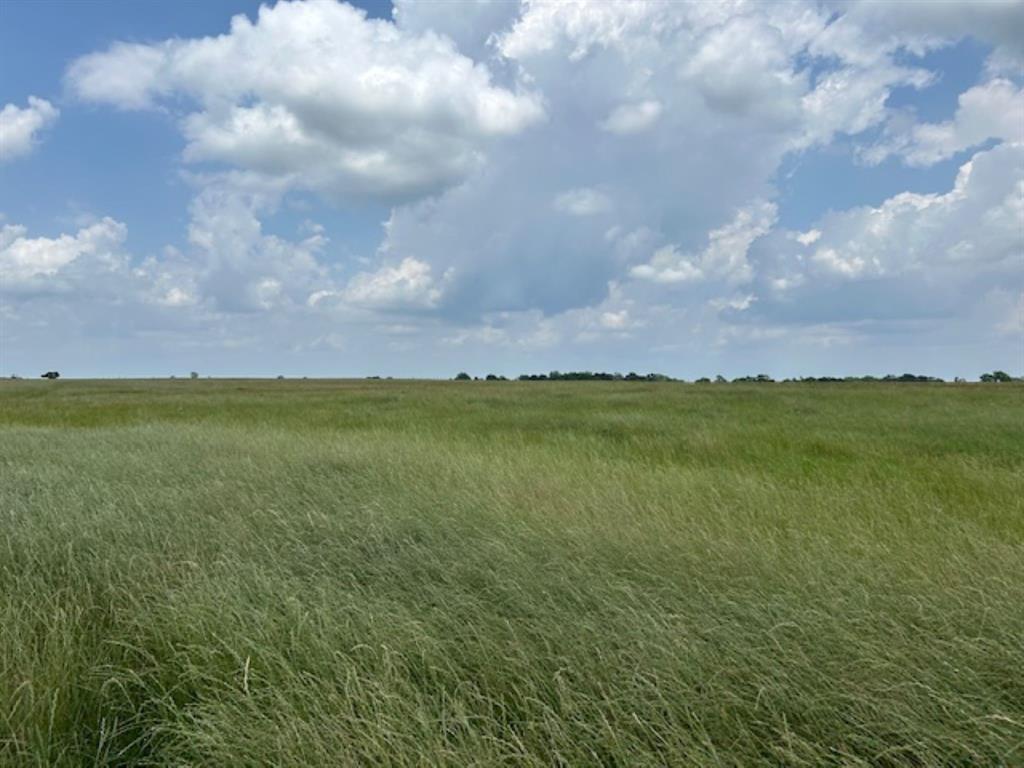 33806 Giboney Road, Hempstead, Texas image 24