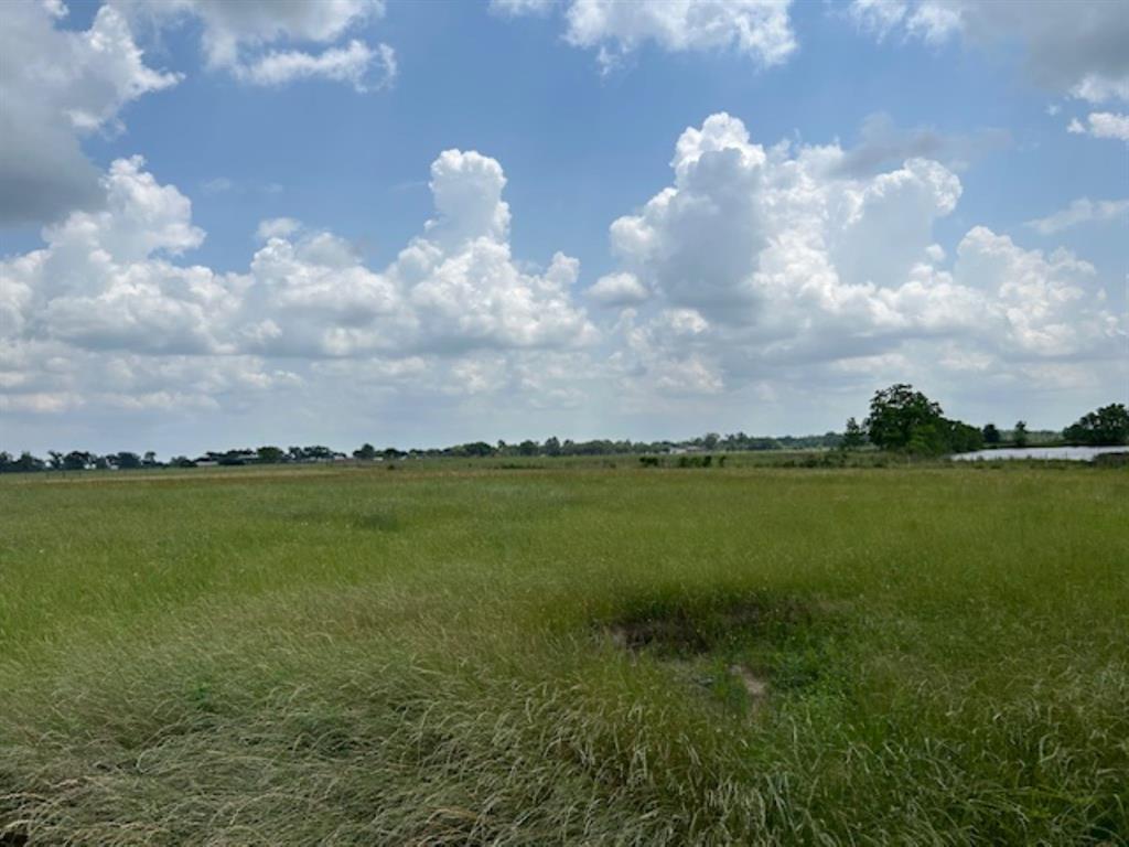 33806 Giboney Road, Hempstead, Texas image 25