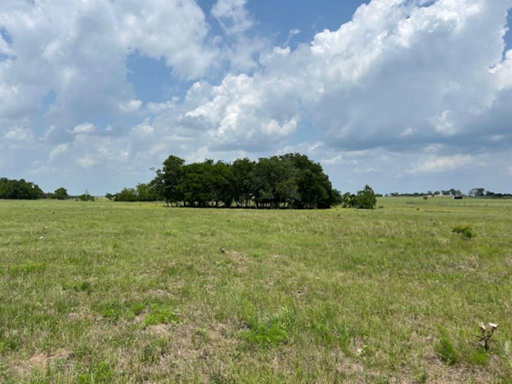 33806 Giboney Road, Hempstead, Texas image 15