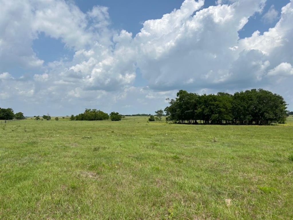 33806 Giboney Road, Hempstead, Texas image 2