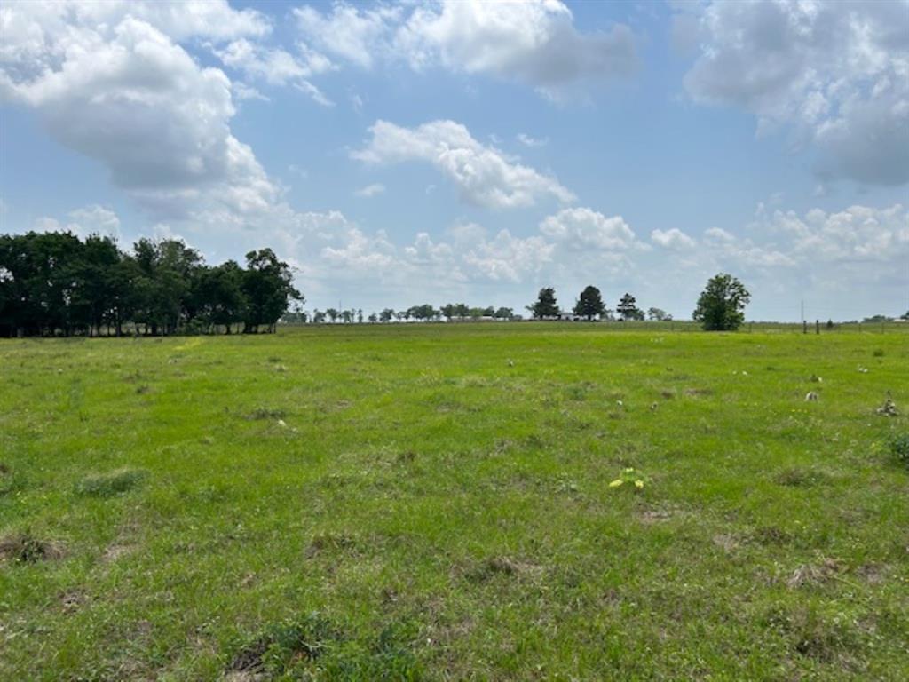 33806 Giboney Road, Hempstead, Texas image 8