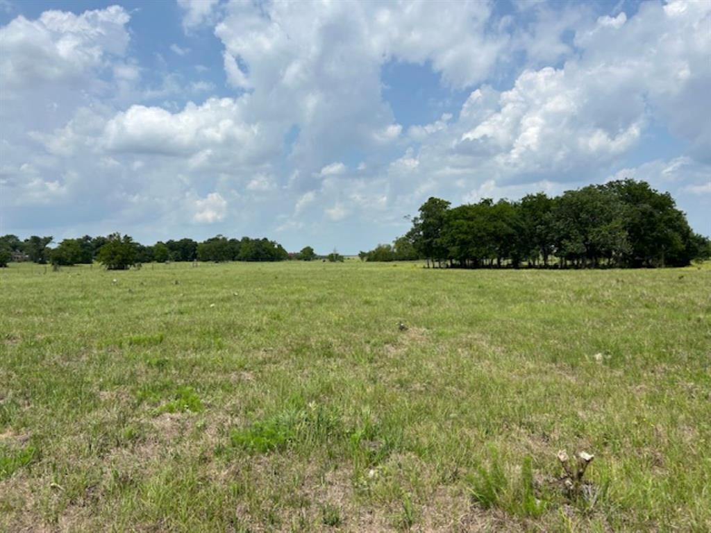 33806 Giboney Road, Hempstead, Texas image 14