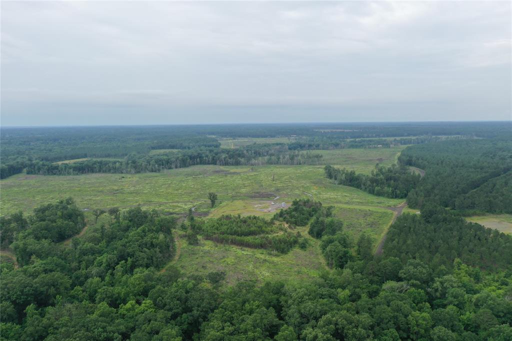 Fm 2625, Waskom, Texas image 3