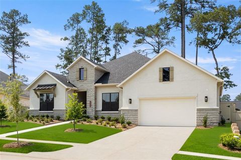 Single Family Residence in Magnolia TX 15638 Audubon Park Drive.jpg