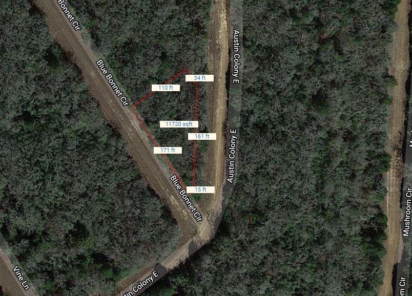 Lot 7 Blue Bonnet Circle, Normangee, Texas image 2