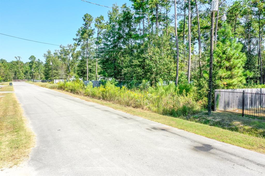 23956 Treehopper Lane, New Caney, Texas image 28