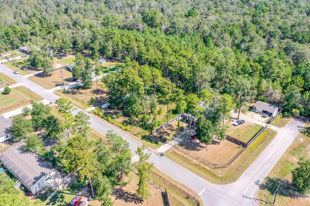 23956 Treehopper Lane, New Caney, Texas image 9