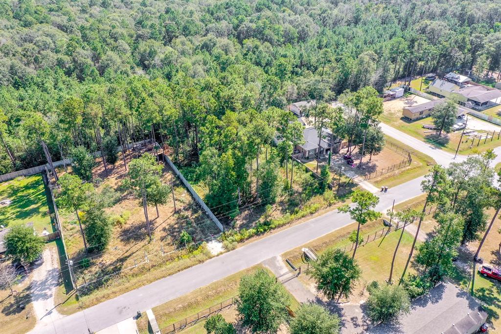 23956 Treehopper Lane, New Caney, Texas image 3