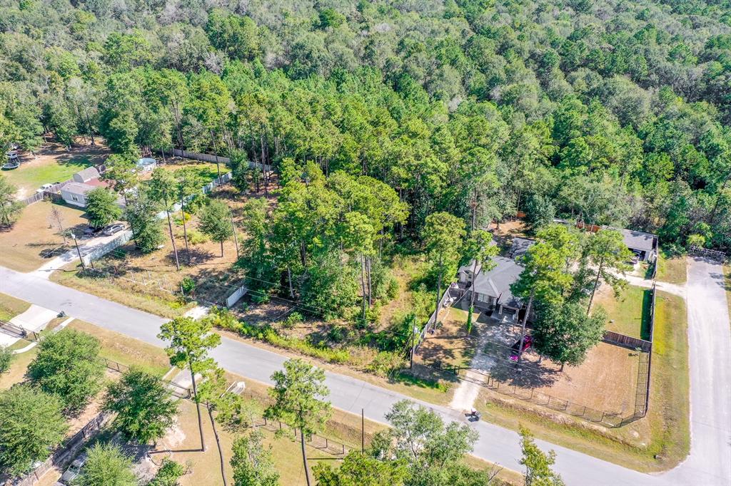 23956 Treehopper Lane, New Caney, Texas image 1