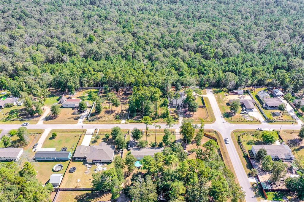 23956 Treehopper Lane, New Caney, Texas image 10