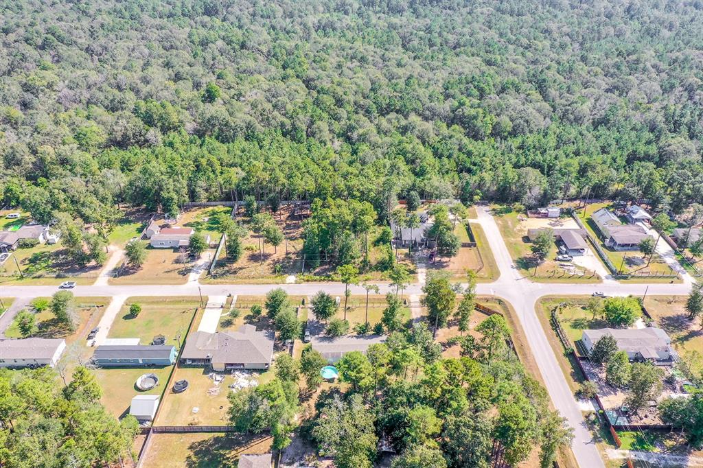 23956 Treehopper Lane, New Caney, Texas image 21