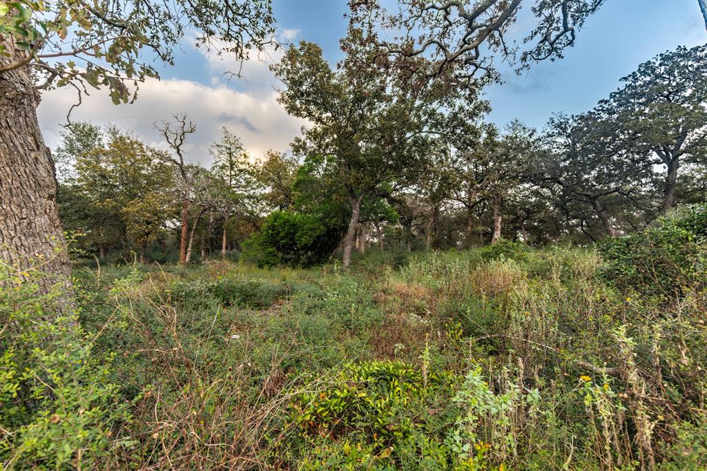 165 Cru Ct, Bellville, Texas image 8