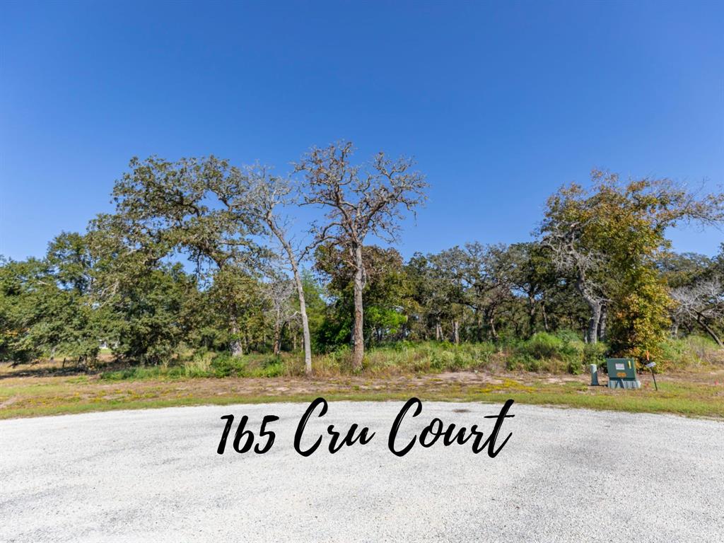 165 Cru Ct, Bellville, Texas image 1