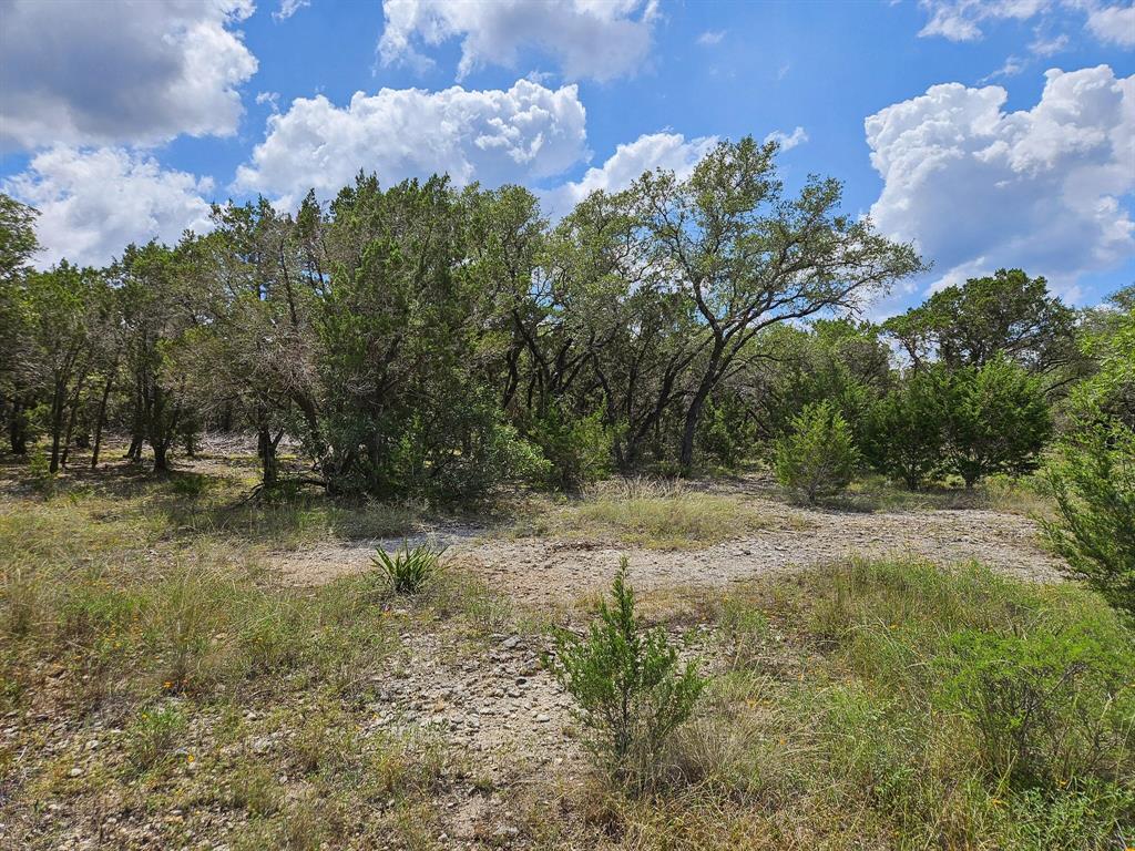 Lot 172 Private Road 1712, Mico, Texas image 16