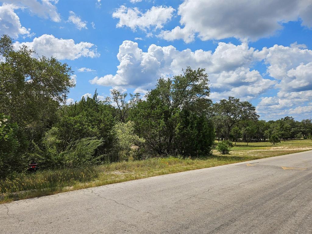 Lot 172 Private Road 1712, Mico, Texas image 22