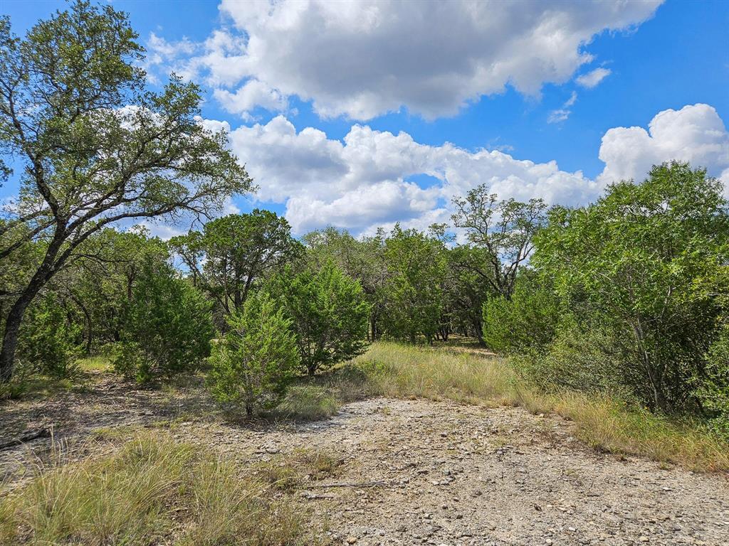 Lot 172 Private Road 1712, Mico, Texas image 11