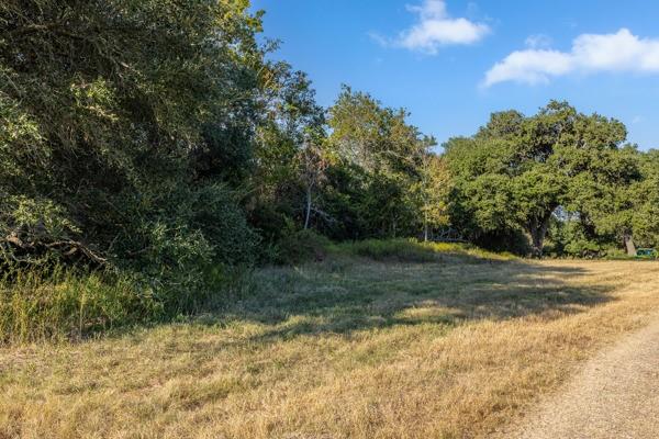 TBD Drake Lane-lot 4, Round Top, Texas image 5