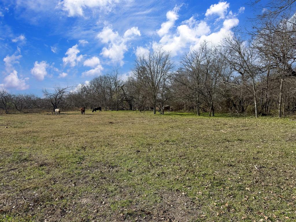 20+/- Acres N Hwy 36, Milano, Texas image 10