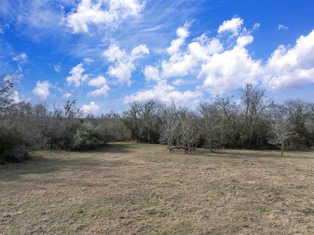 20+/- Acres N Hwy 36, Milano, Texas image 6