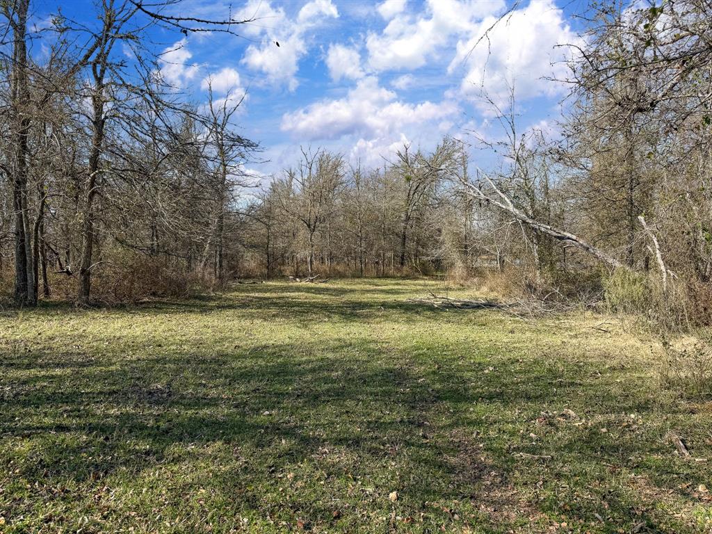 20+/- Acres N Hwy 36, Milano, Texas image 13