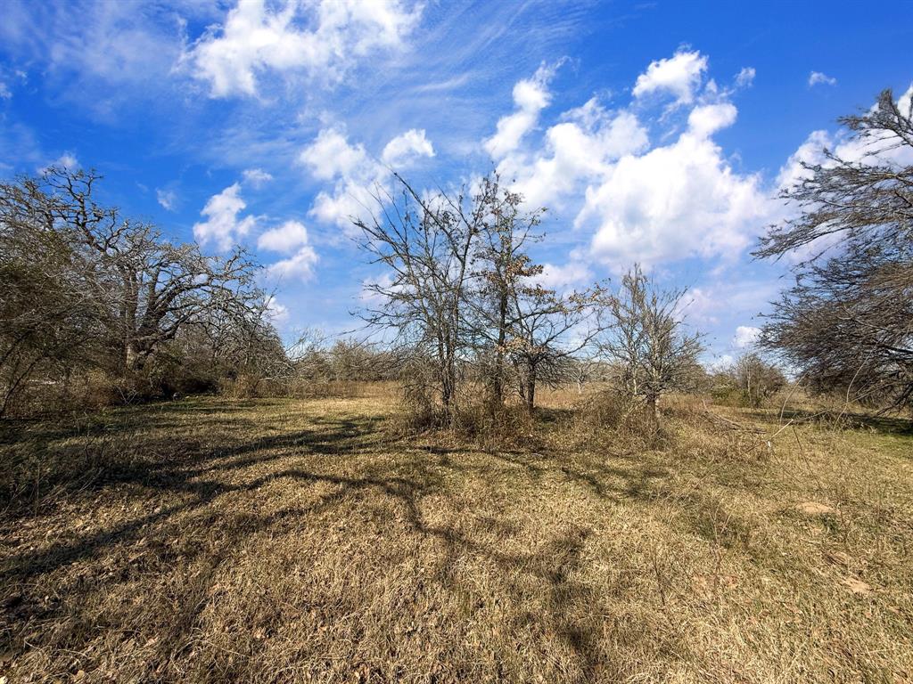 20+/- Acres N Hwy 36, Milano, Texas image 15