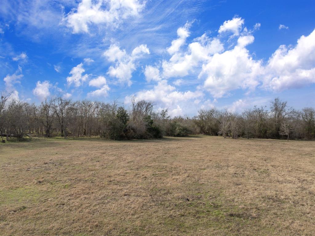 20+/- Acres N Hwy 36, Milano, Texas image 8