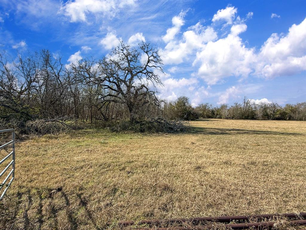 20+/- Acres N Hwy 36, Milano, Texas image 9