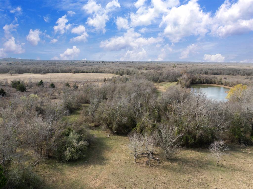 20+/- Acres N Hwy 36, Milano, Texas image 5