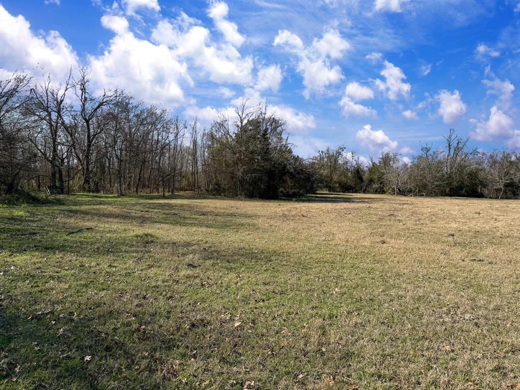 20+/- Acres N Hwy 36, Milano, Texas image 11