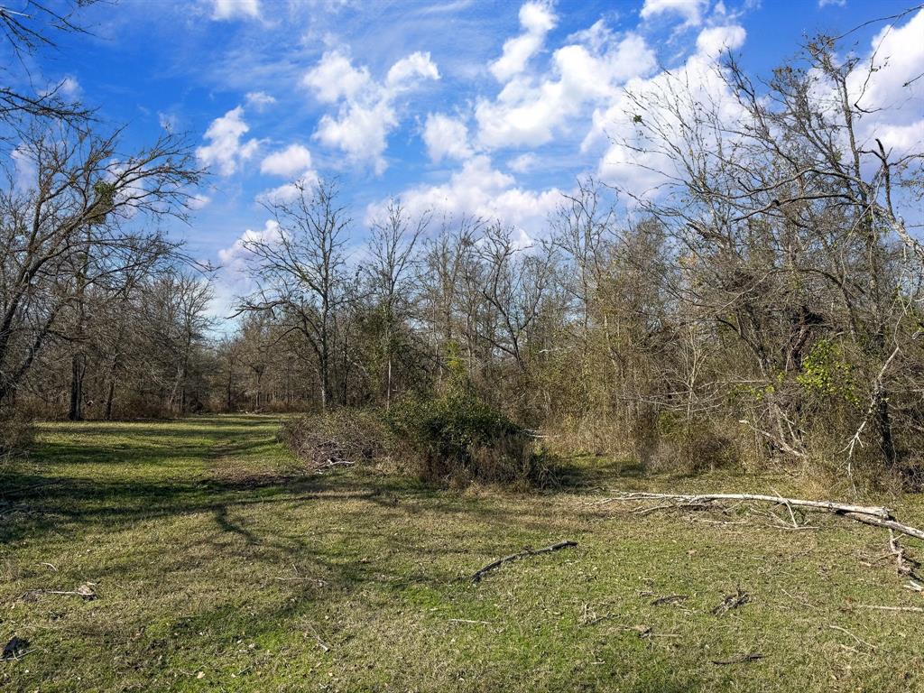 20+/- Acres N Hwy 36, Milano, Texas image 12