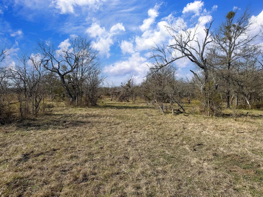 20+/- Acres N Hwy 36, Milano, Texas image 14