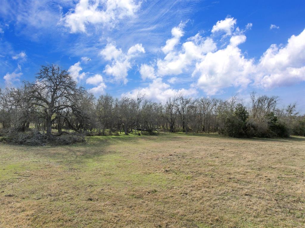 20+/- Acres N Hwy 36, Milano, Texas image 7