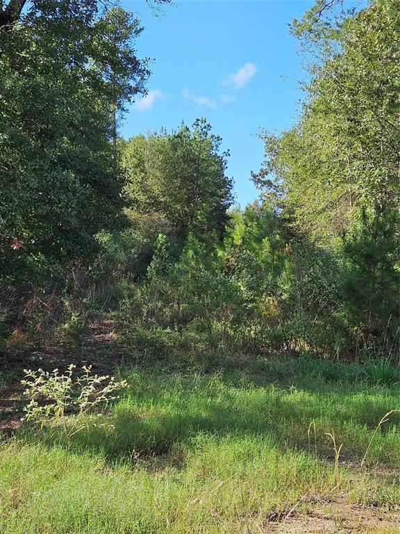 TBD 2-6-56 Stagecoach Circle, Huntsville, Texas image 3