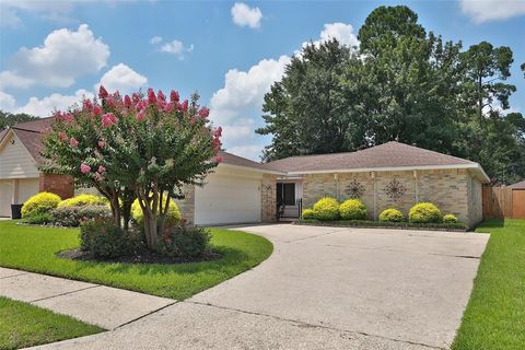 Single Family Residence in Spring TX 4726 Branchberry Lane.jpg