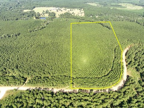 Vacant Land For Sale - 00 Shady Grove Rd<br/> Woodville, TX 75979