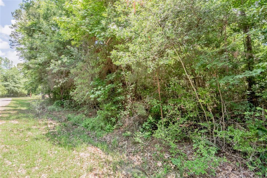 Lot 030 Hawk Lane, Trinity, Texas image 7