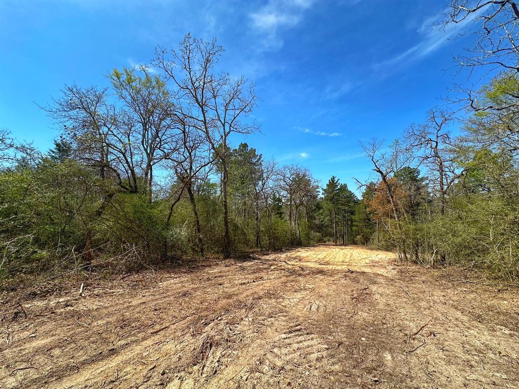 11 Ac Cr 292, Buffalo, Texas image 5