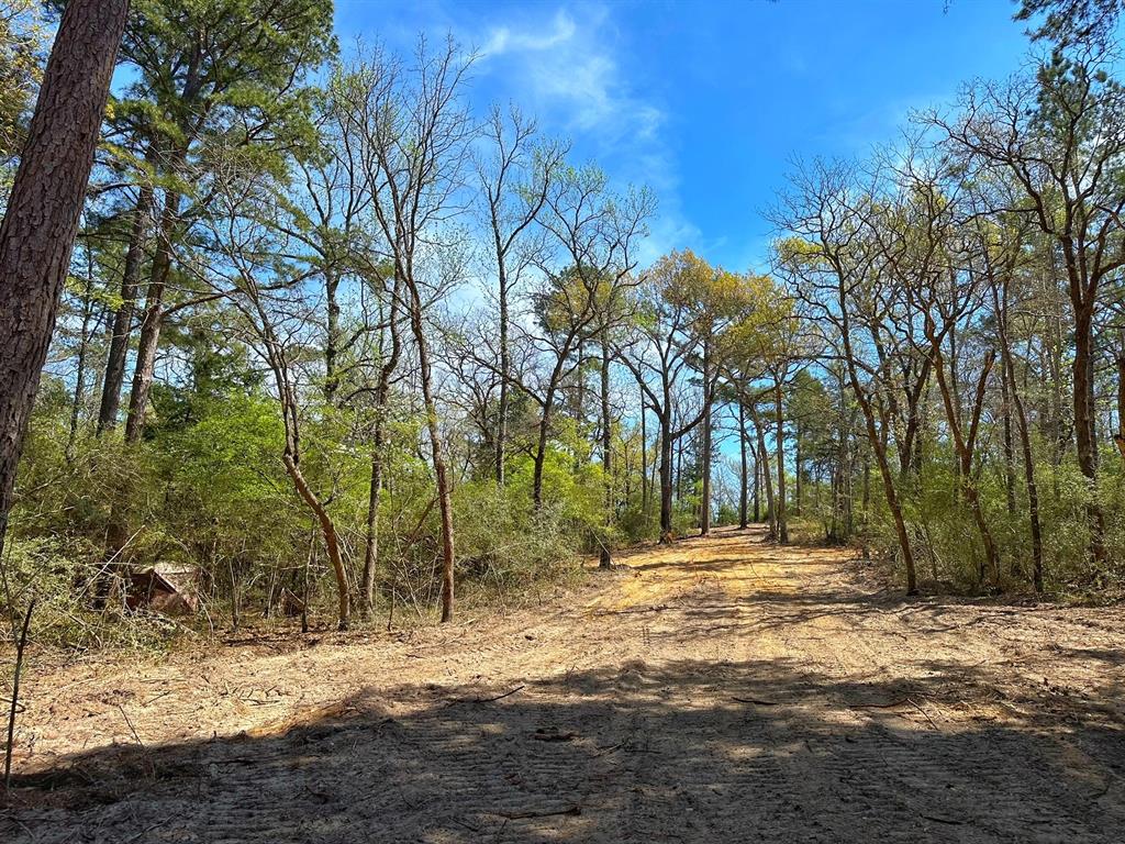 11 Ac Cr 292, Buffalo, Texas image 4
