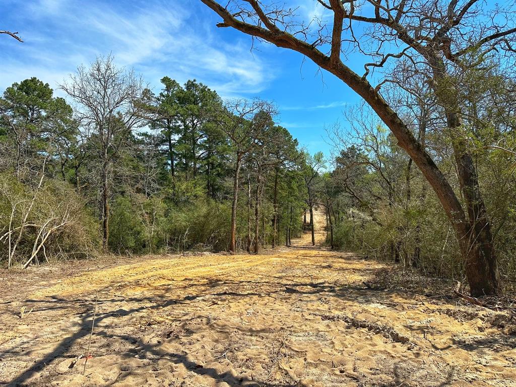 11 Ac Cr 292, Buffalo, Texas image 1