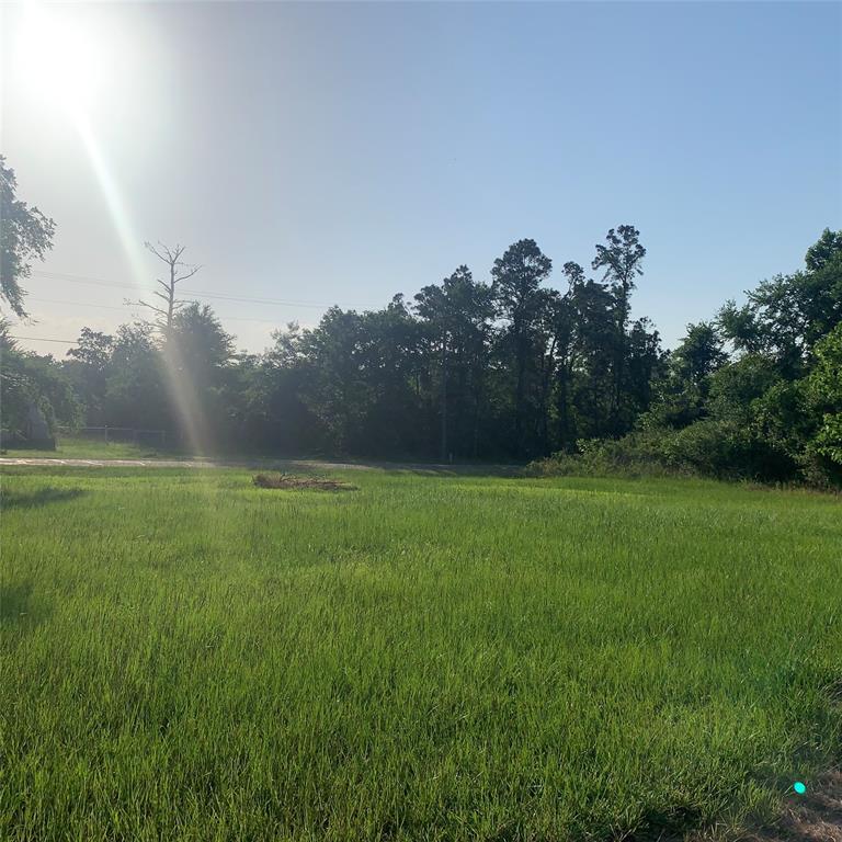 TBD Huckleberry Road, Onalaska, Texas image 6