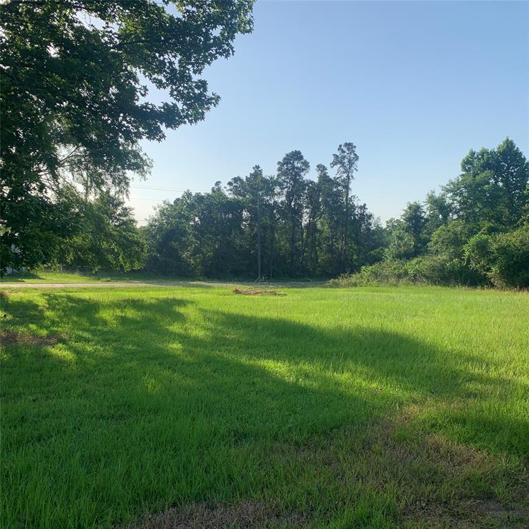 TBD Huckleberry Road, Onalaska, Texas image 5