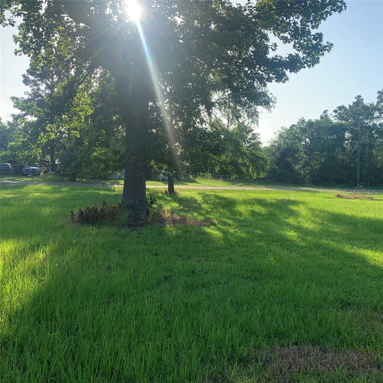 TBD Huckleberry Road, Onalaska, Texas image 3