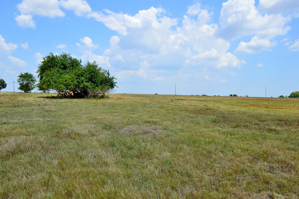 TBD 119 Fm 1227, Navasota, Texas image 23