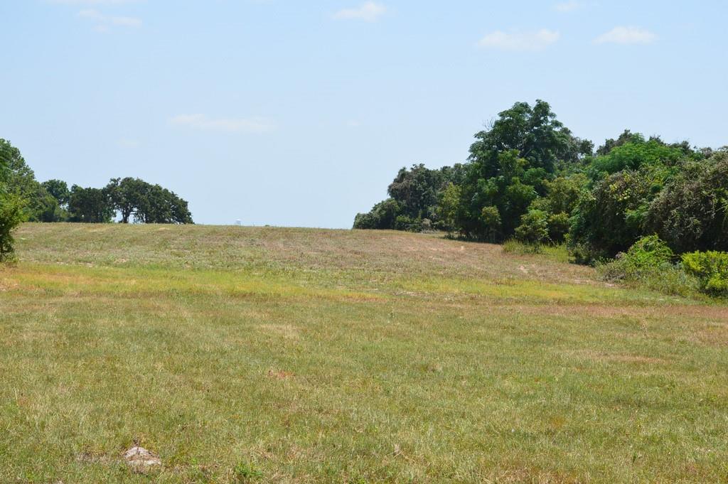 TBD 119 Fm 1227, Navasota, Texas image 5