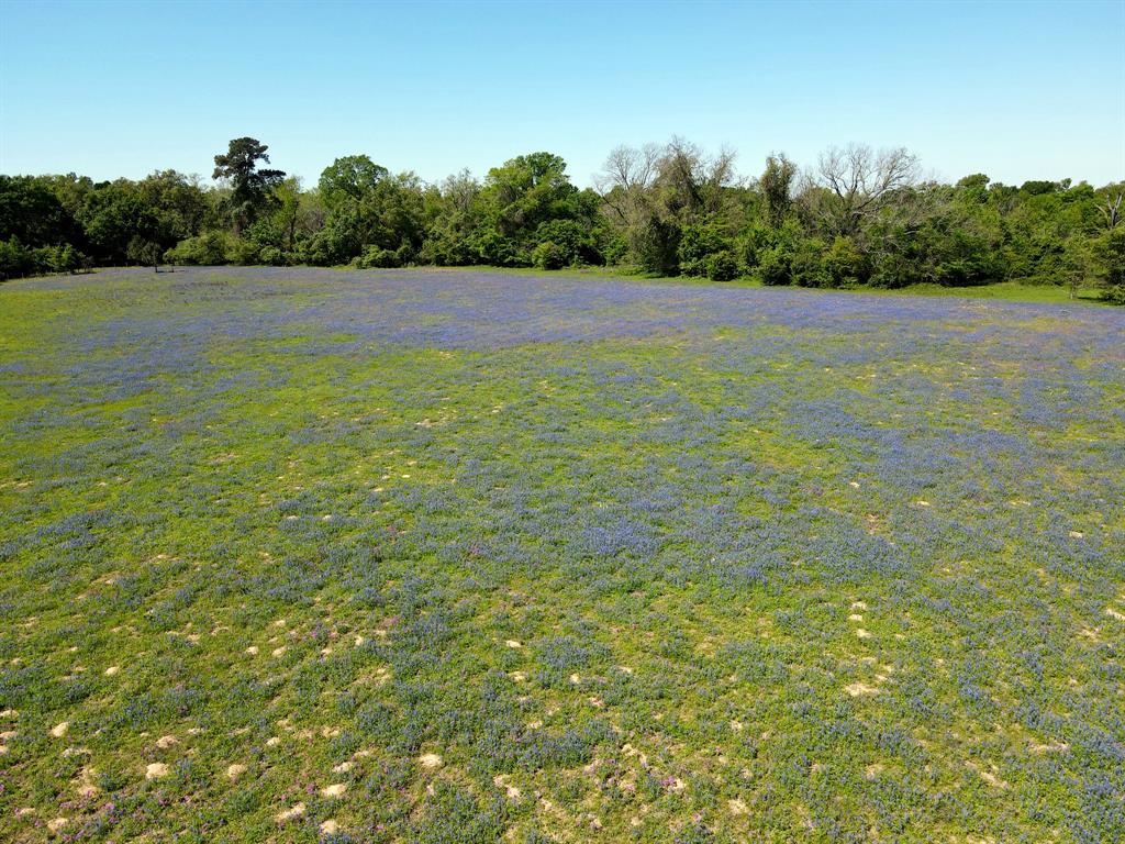 TBD 119 Fm 1227, Navasota, Texas image 10